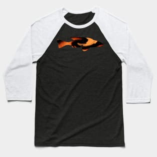 The Industrial Fish Baseball T-Shirt